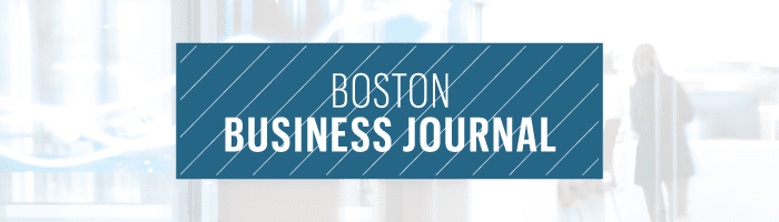 BBJ IT Consulting Firm