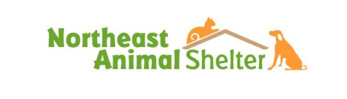 GraVoc Media Launches New Website for Northeast Animal Shelter | GraVoc GraVoc Media Launches New Website for Northeast Animal Shelter | GraVoc