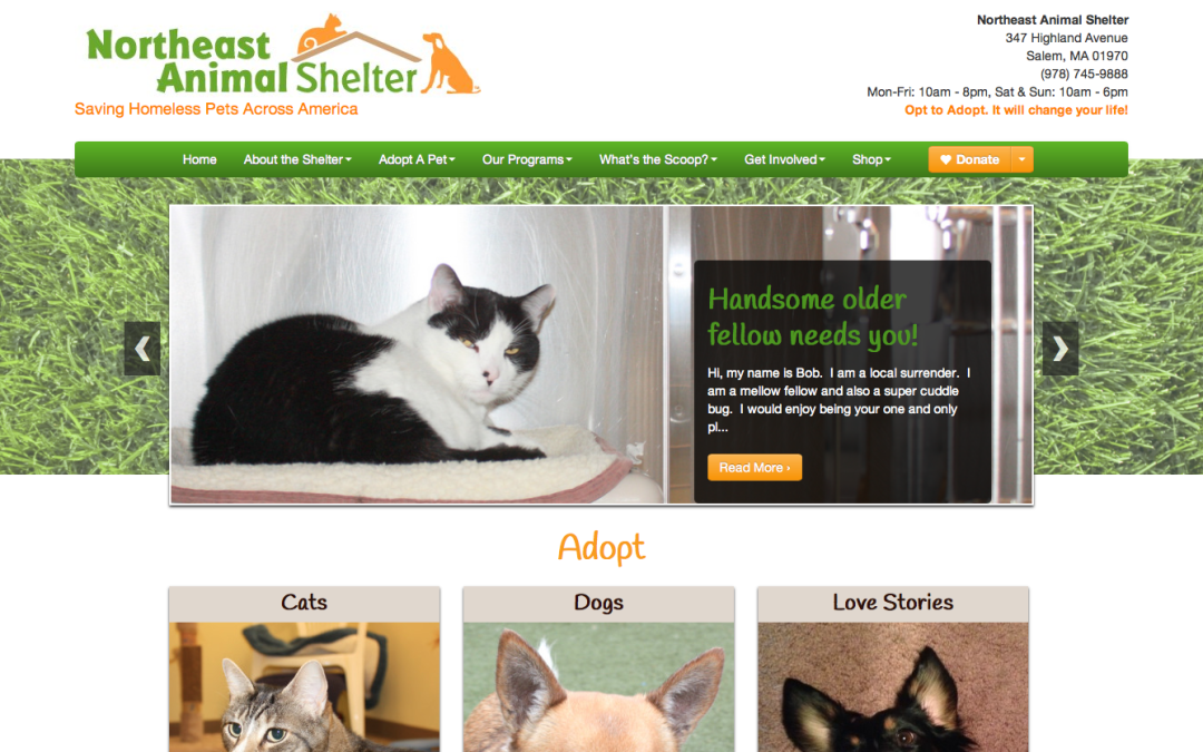 North East Animal Shelter