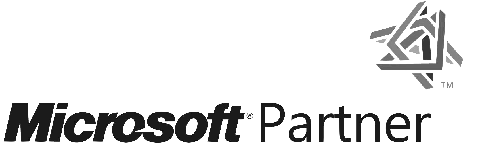 microsoft partner logo