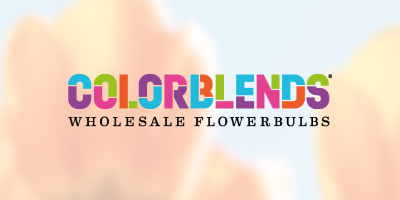 Building an Integrated eCommerce Website for Colorblends