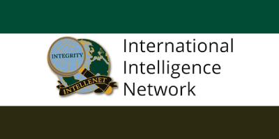 Professional Website Design for Intellenet