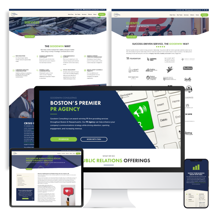 goodwin-consulting-web-showcase