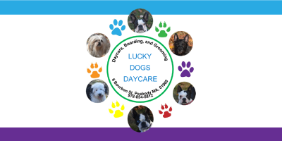 Streamlining the Lucky Dogs Daycare Website Design