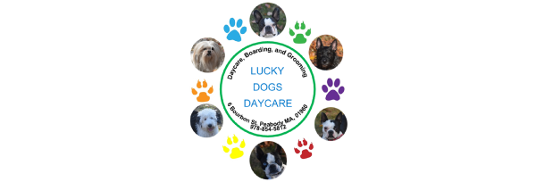 Lucky-Dogs-Daycare-logo-2 Standard-Rivet-Company-Logo