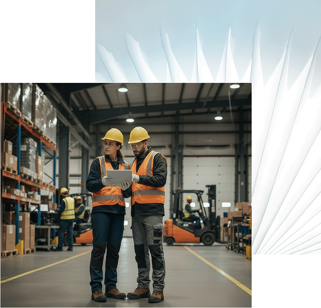 GraVoc | Business Process Review