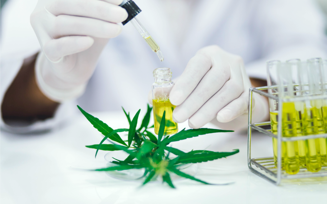 Custom LIMS Cloud Application for Cannabis Testing